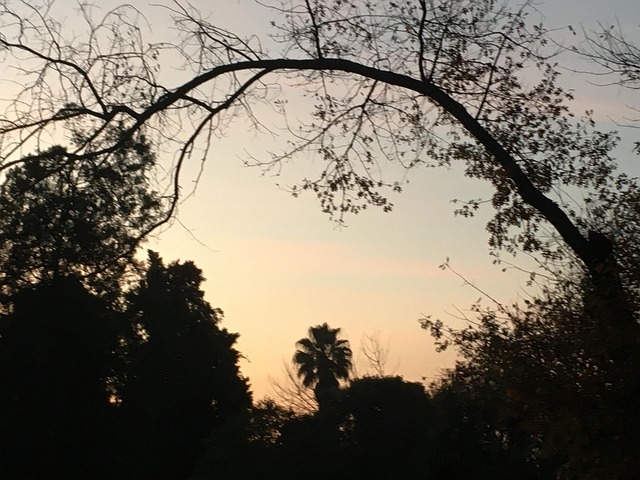 Free Nature Sunset photo and picture