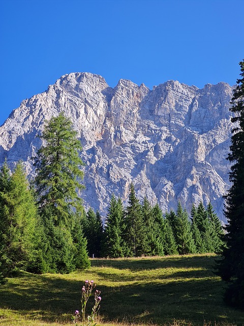 Free Moutains Austria photo and picture