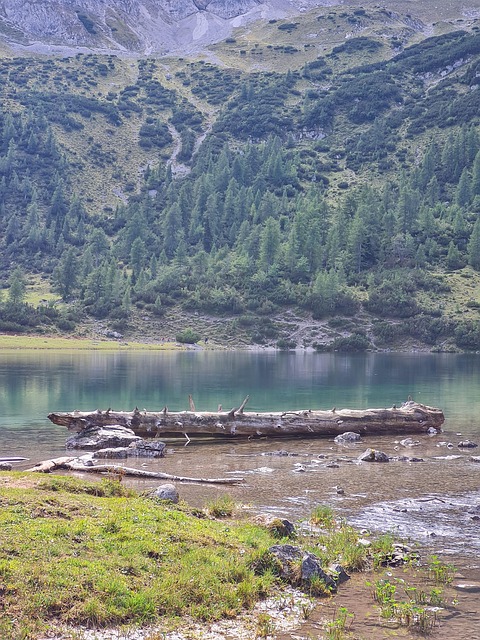 Free Lake Austria photo and picture