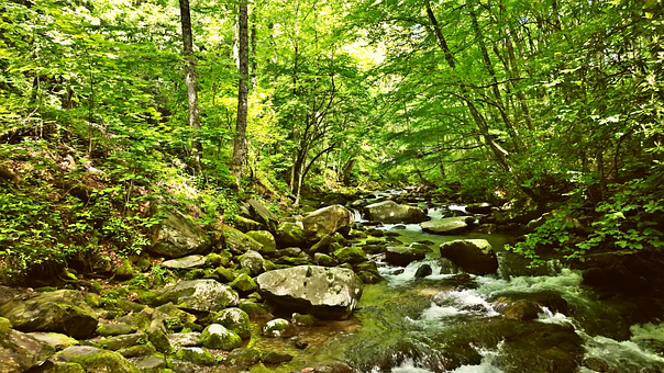 Free Nature River photo and picture