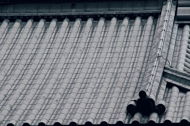 Free The Ceiling Architecture photo and picture