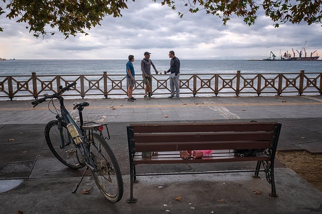 Rua, Bicicleta, Costa, Mar, Árvore