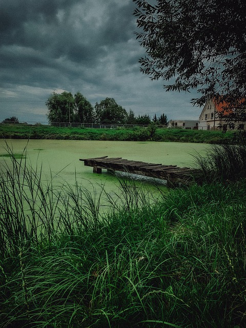 Natură, Lacul, Apă, Frumusete, Peisaj