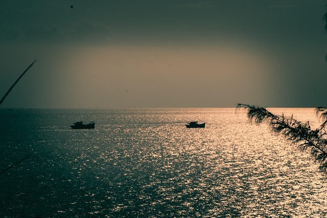 Strand, Vietnam, Båd, Solnedgang