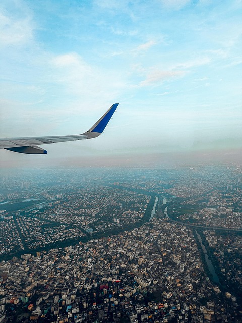 Free Bird Flight photo and picture