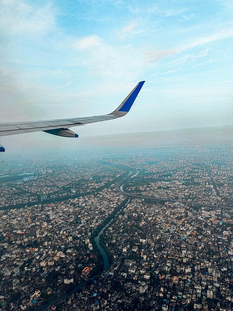 Free Bird Flight photo and picture