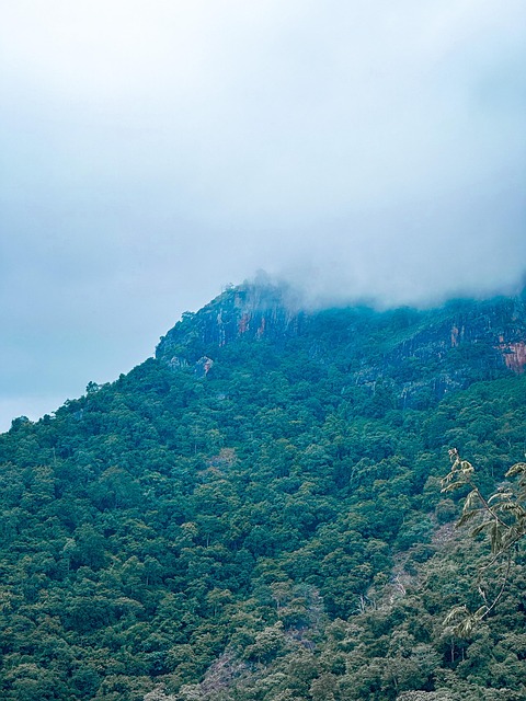 Free Vietnam Nature photo and picture
