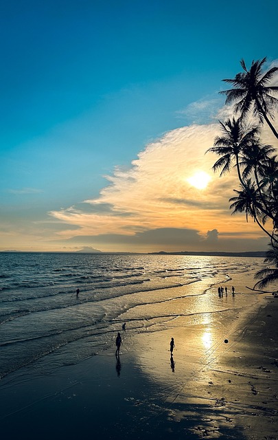 Free Vietnam Nature photo and picture