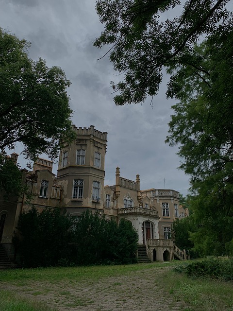 Castel, Polonia, Natură, Pădure