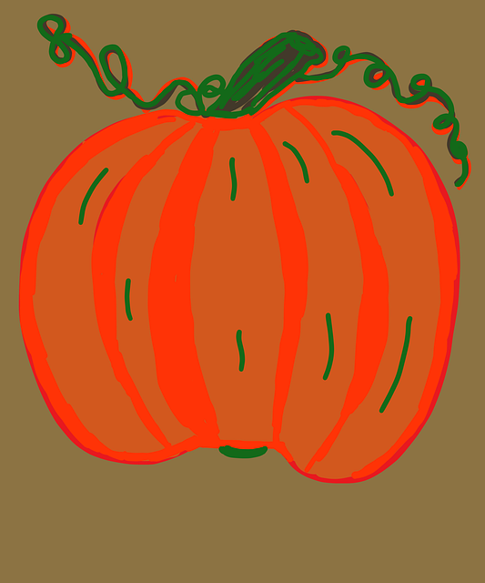 Calabaza, Noviembre, Cosecha, Orgánico