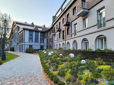 Flor, Escandinavia, Residencial, Armonía
