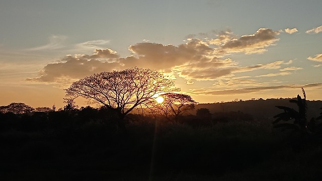 Free Sunset Nature photo and picture