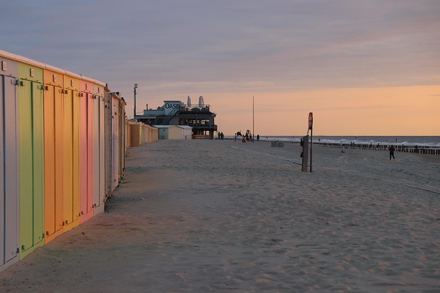 Free Beach Coast photo and picture