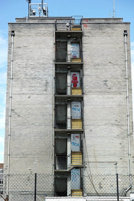 Free Stairs Staircase photo and picture