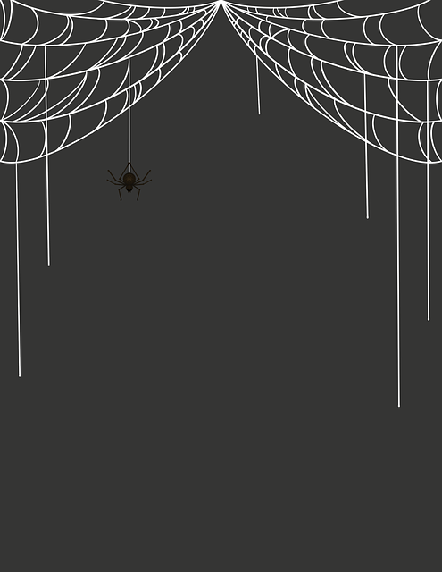 Free Spider Spiderweb illustration and picture