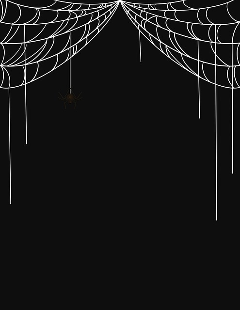 Free Spiderweb Cobweb illustration and picture