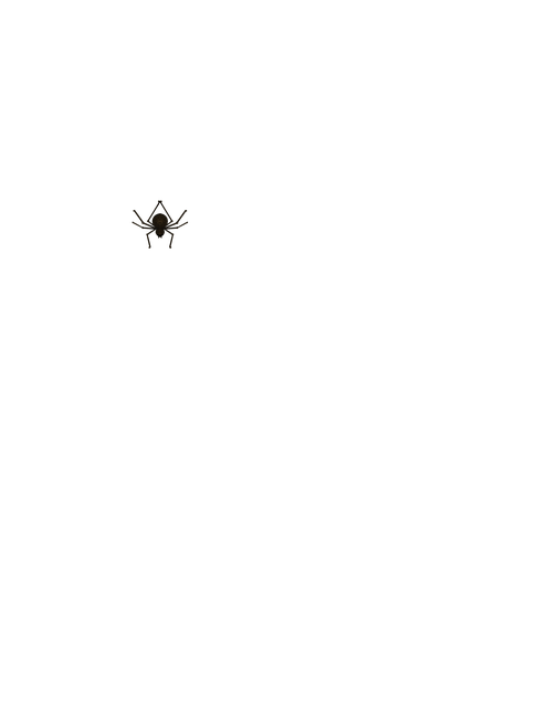 Free Spider Spiderweb illustration and picture
