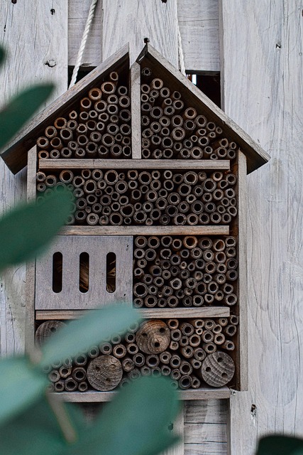 Free Insect Hotel Insect House photo and picture