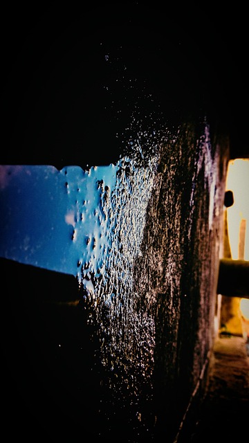 Free Backyard Water photo and picture