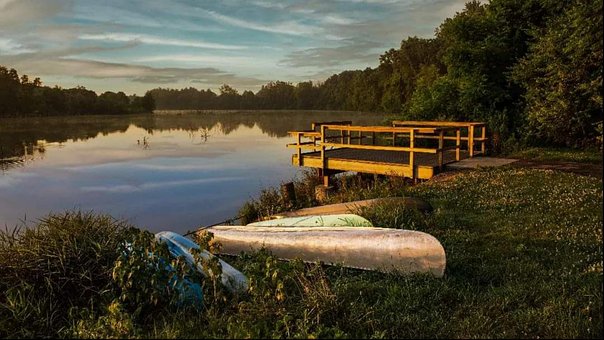 Ai Generat, Lac, Pădure, Doc, Peisaj