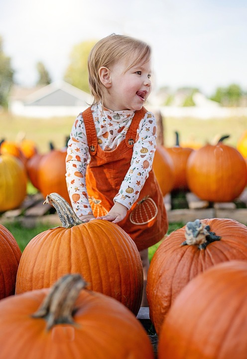 Girl Pumpkins Pumpkin Patch - Free photo on Pixabay