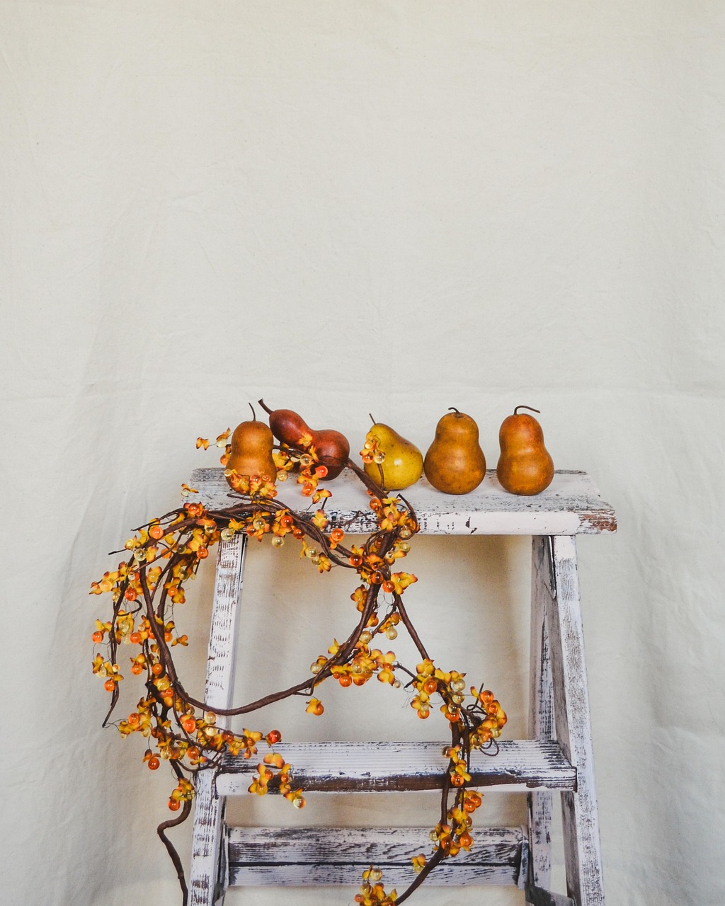 Download free HD stock image of Autumn Fall Free Autumn Fall photo and picture
