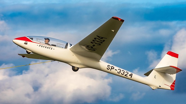 Free Aircraft Glider photo and picture