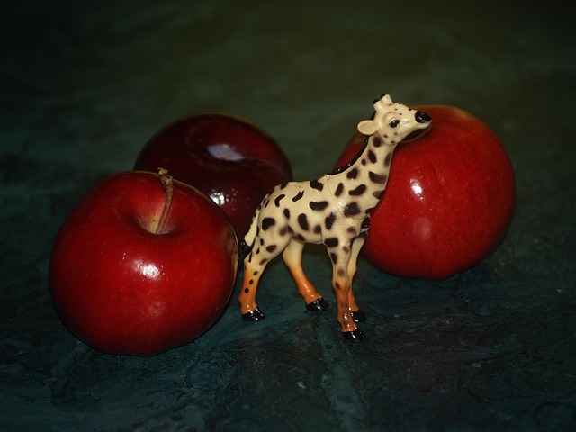 Girafa, Natureza, Decoração, Maçã