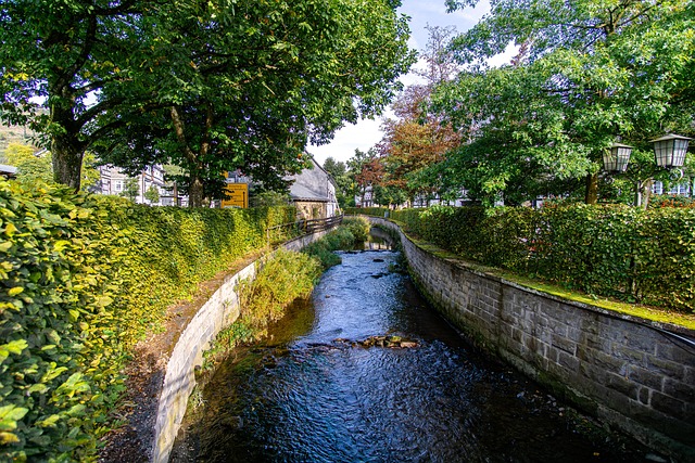 Free Bach Village photo and picture