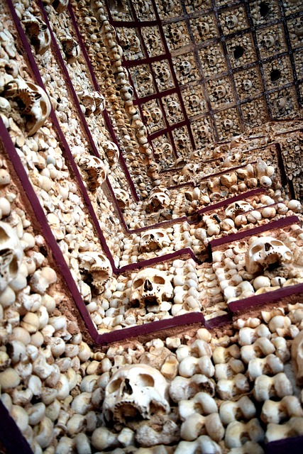 Free Bone Chapel Capela Dos Ossos photo and picture
