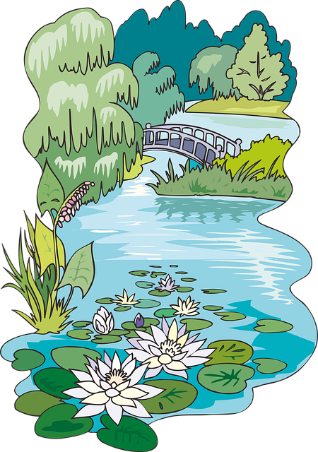 Free Pond Lotus illustration and picture