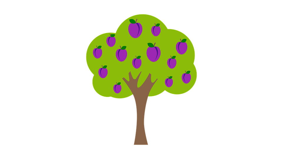 Download Plum Tree Plums Tree RoyaltyFree Stock Illustration Image