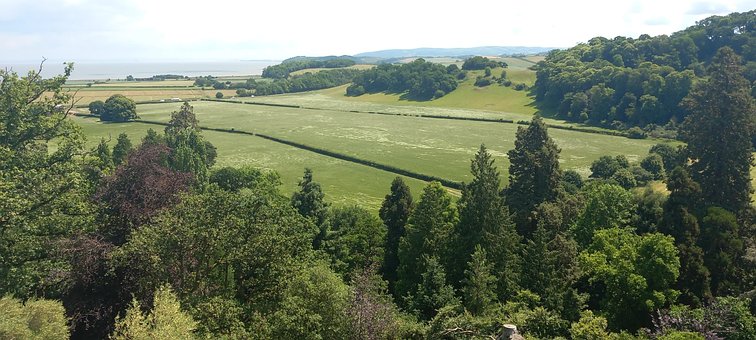 Free Rural Landscape Nature photo and picture