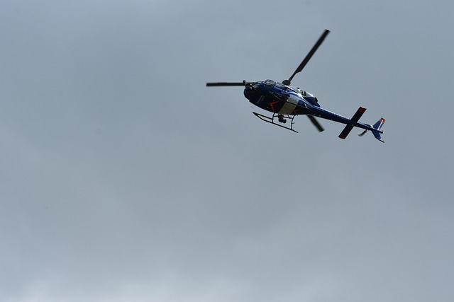 Free Flying Fly photo and picture