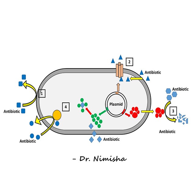 Drug Resistent Drug Resistance Bacteria - Free photo on Pixabay - Pixabay
