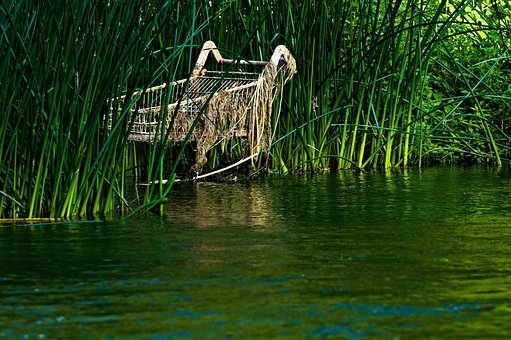 Free Nature River photo and picture