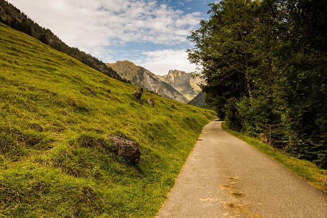 Free Mountains Alps photo and picture