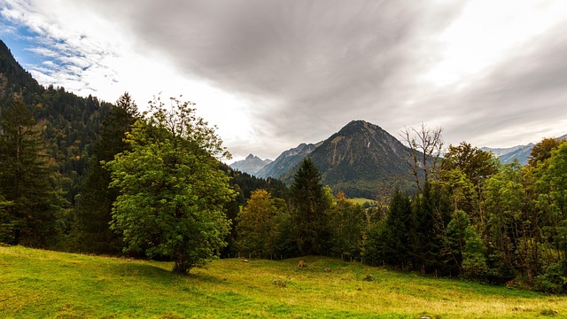 Free Mountains Alps photo and picture