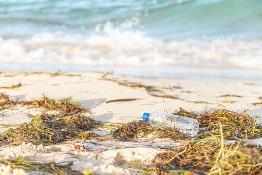 Free Bottle Plastic photo and picture