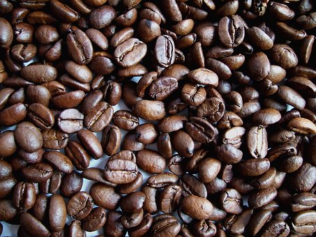 Free Coffee Bean photo and picture