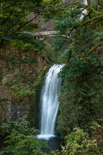 Free Multnomah Falls Water Falls photo and picture