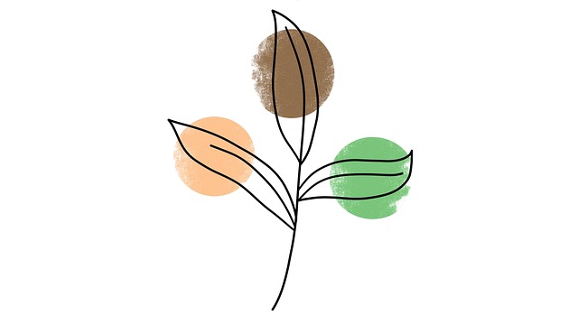 Free leaves leaf minimalist illustration