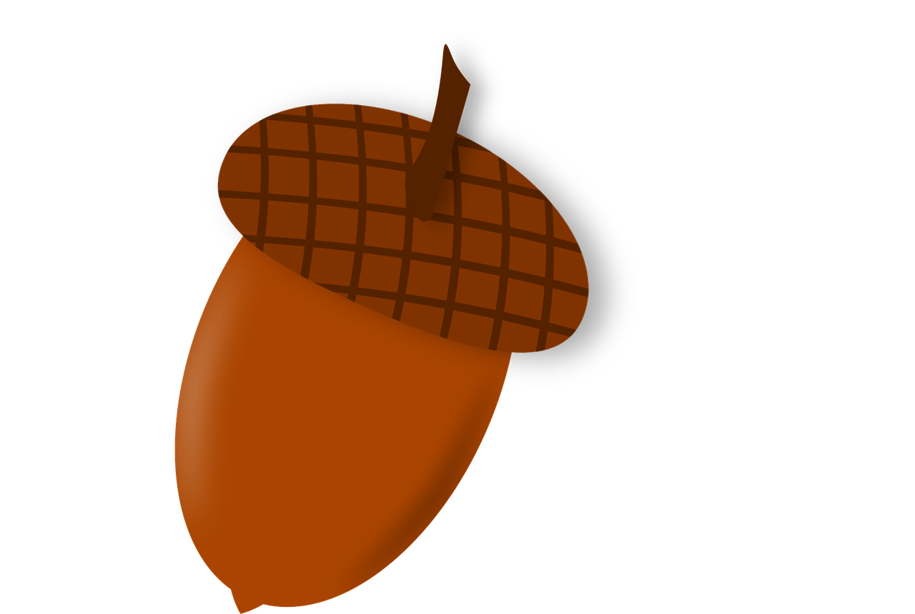 Download Acorn, Fall, Tree. RoyaltyFree Vector Graphic Pixabay
