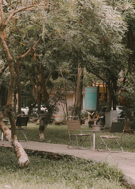 Groente, Coffeeshop, Park, Groen Park