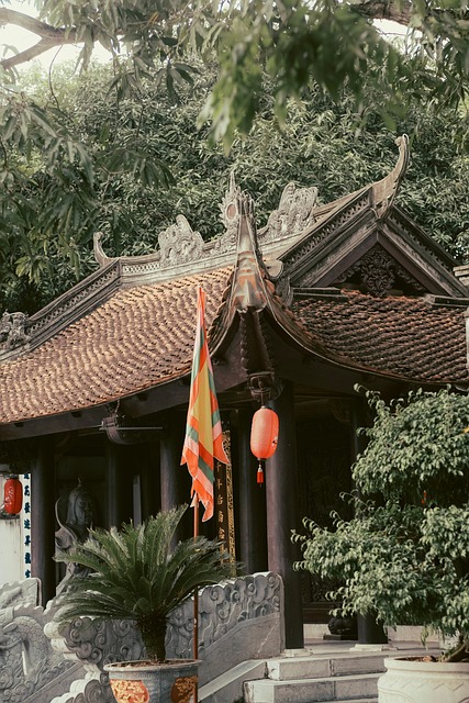 Vietnamese Architectuur, Boom, Bladeren