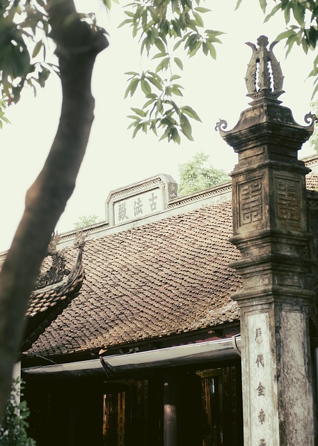 Vietnamees, Vietnam