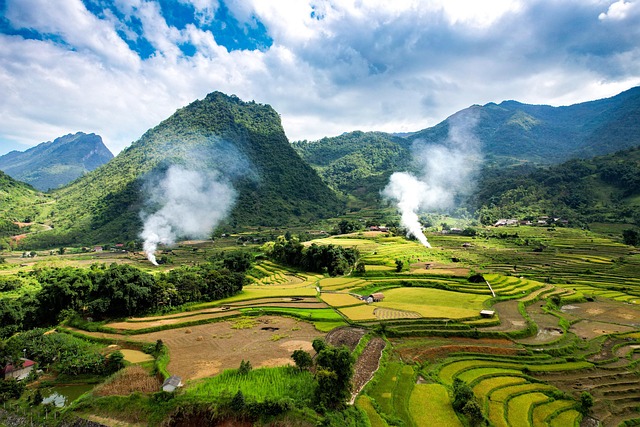 Free Rice Fields Terraced Fields photo and picture