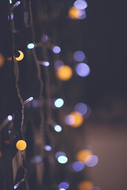 Free Light Bokeh photo and picture