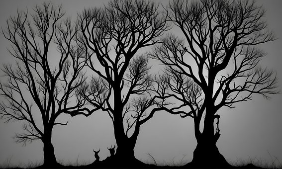 Free Tree Nature illustration and picture