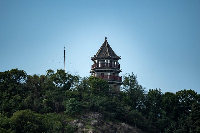 Free Botanical Garden Tower photo and picture